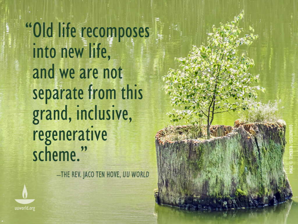 This image has an empty alt attribute; its file name is Old-life-recomposes-UU-World-1024x768.png