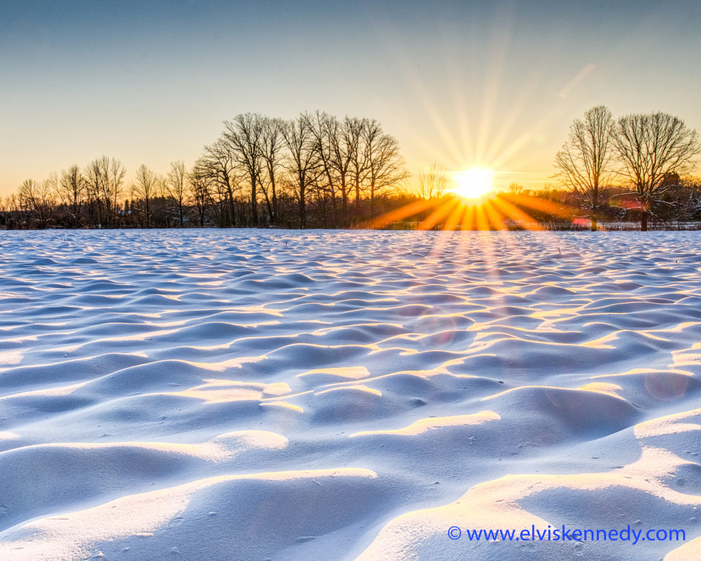 snow-covered field with bright sun just above the horizon